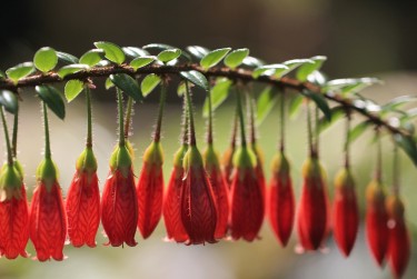 南京栖霞区8零用贷短借：轻松解决临时资金需求
