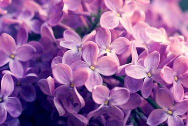 南京栖霞区8企业急用钱贷款攻略：快速融资解燃眉之急